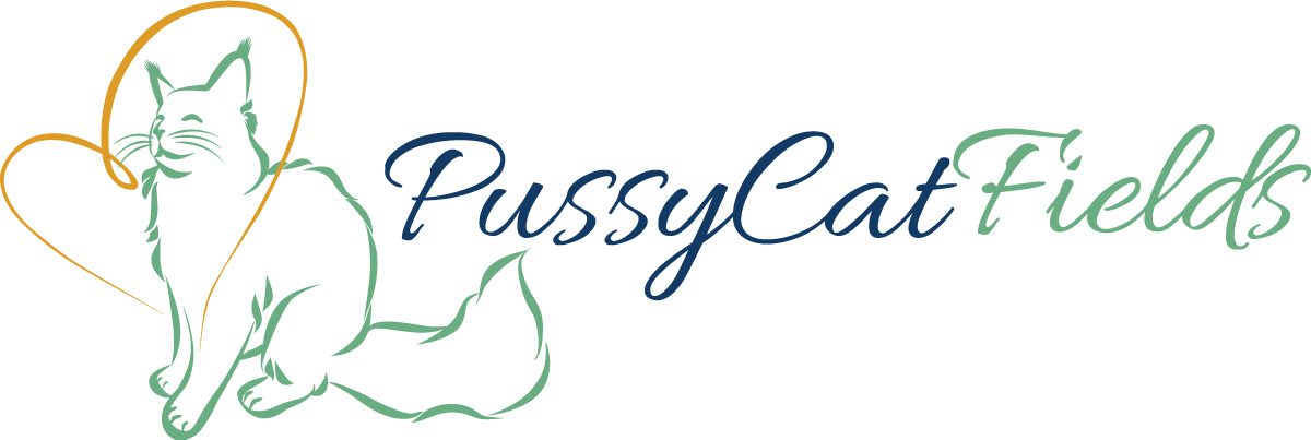 A logo of pussycat, with the name written in blue.