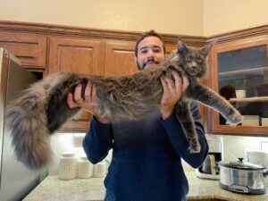 A man holding a cat in his arms.