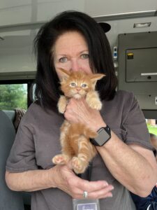 A woman holding an orange kitten in her arms.