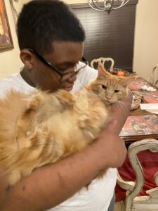 A man holding an orange cat on his lap.