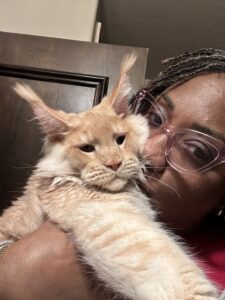 A woman holding an orange cat with long whiskers.