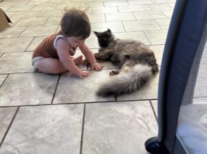 A baby and cat are playing together on the floor.