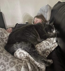 A cat is laying on the couch next to a girl.