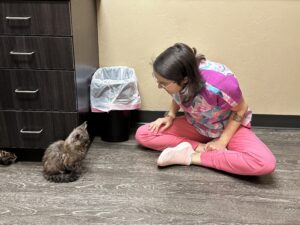 A girl sitting on the floor next to a cat.