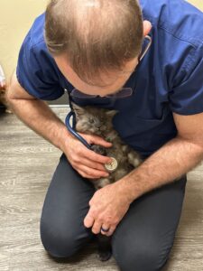 A man holding a cat while sitting on the floor.