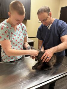 A man and woman are petting a cat.