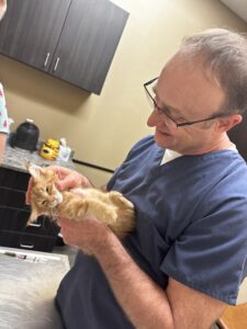 A man holding an orange cat in his hands.