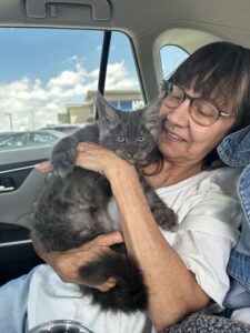 A woman holding a cat in the back of her car.